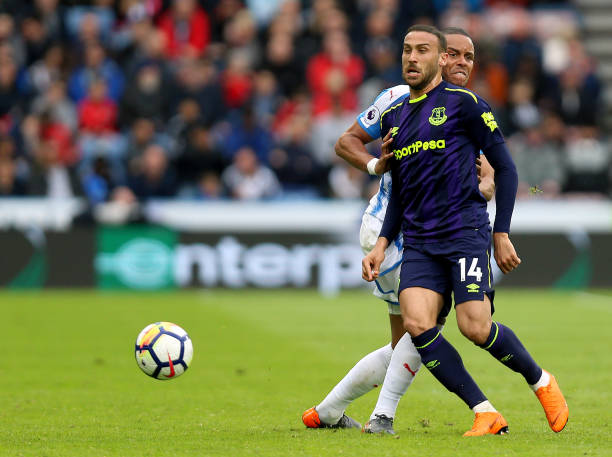 并继续贡献 并继续贡献